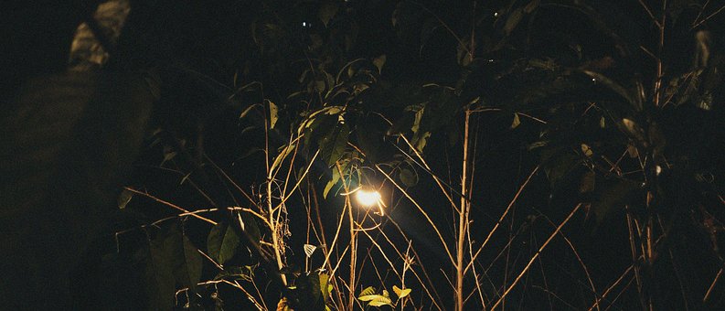 Free Light Lamp photo and picture