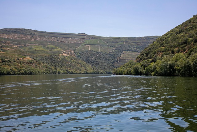 Free Douro Pinhão photo and picture