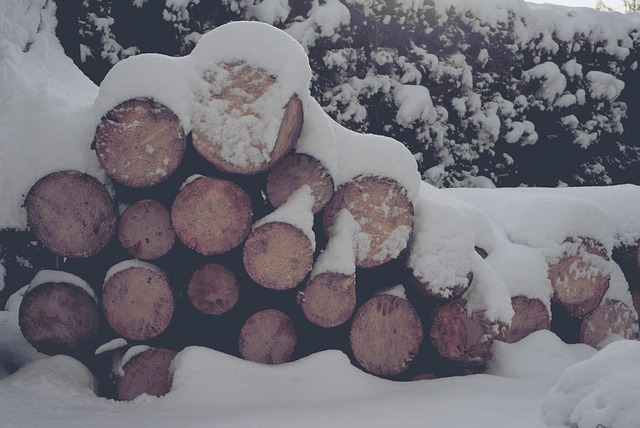 Hintergrund, Holz, Winter, Schnee, Ruhe