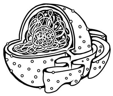 Free Nucleus Science illustration and picture