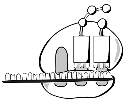 Free Ribosome Diagram illustration and picture