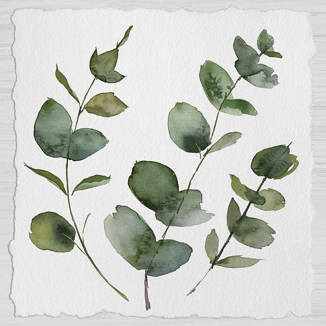 Free ai generated eucalyptus leaves illustration