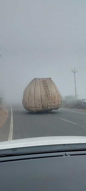 Free Transport India photo and picture