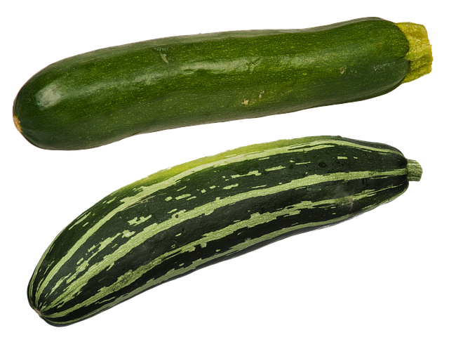 Free squash zucchini food illustration