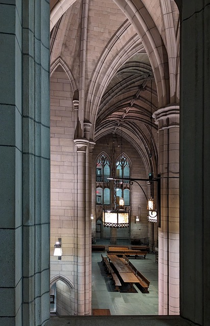 Free University College photo and picture