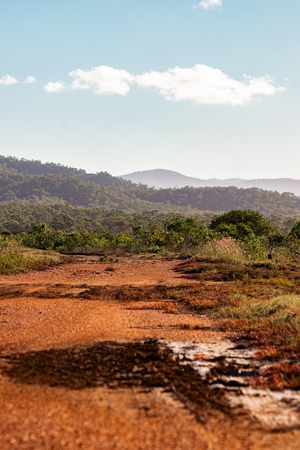 Download free HD stock image of Land Bush Free Land Bush photo and picture