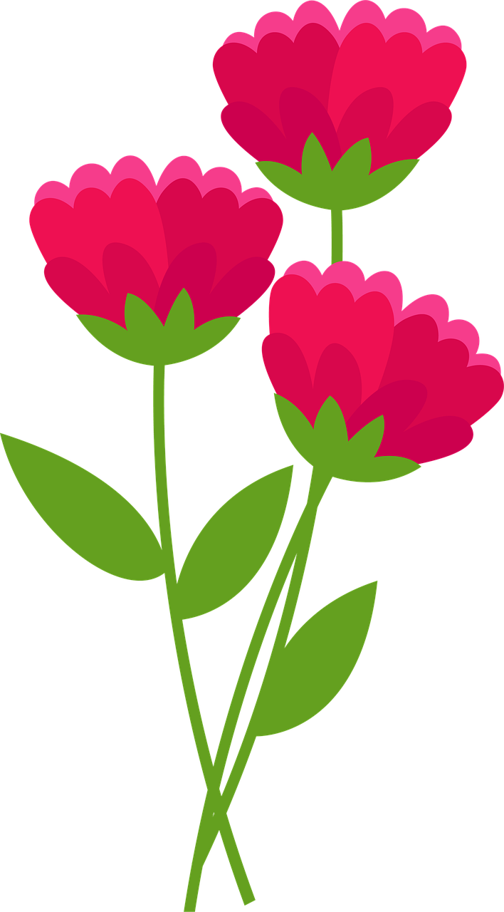 Download free HD stock image of Flowers Bloom Free flowers bloom blossom illustration
