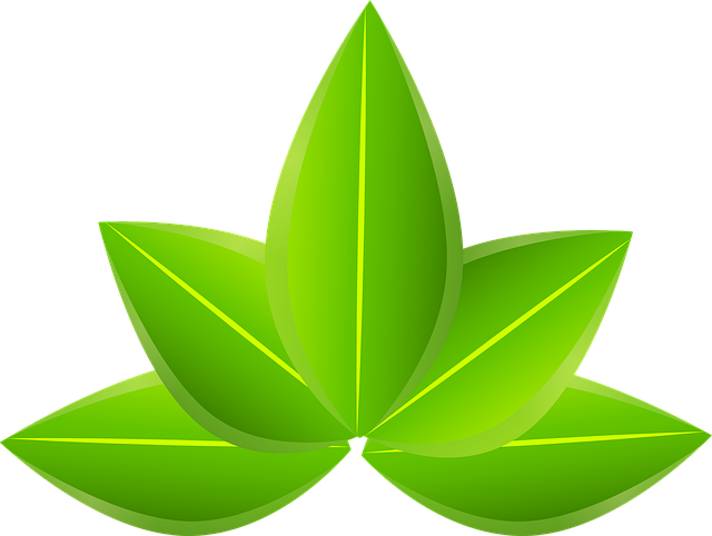 Free leaf rendering nature leaves 3d green foliage 3d illustration