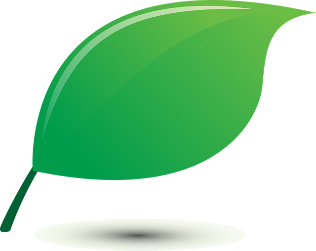Free leav nature botany illustration