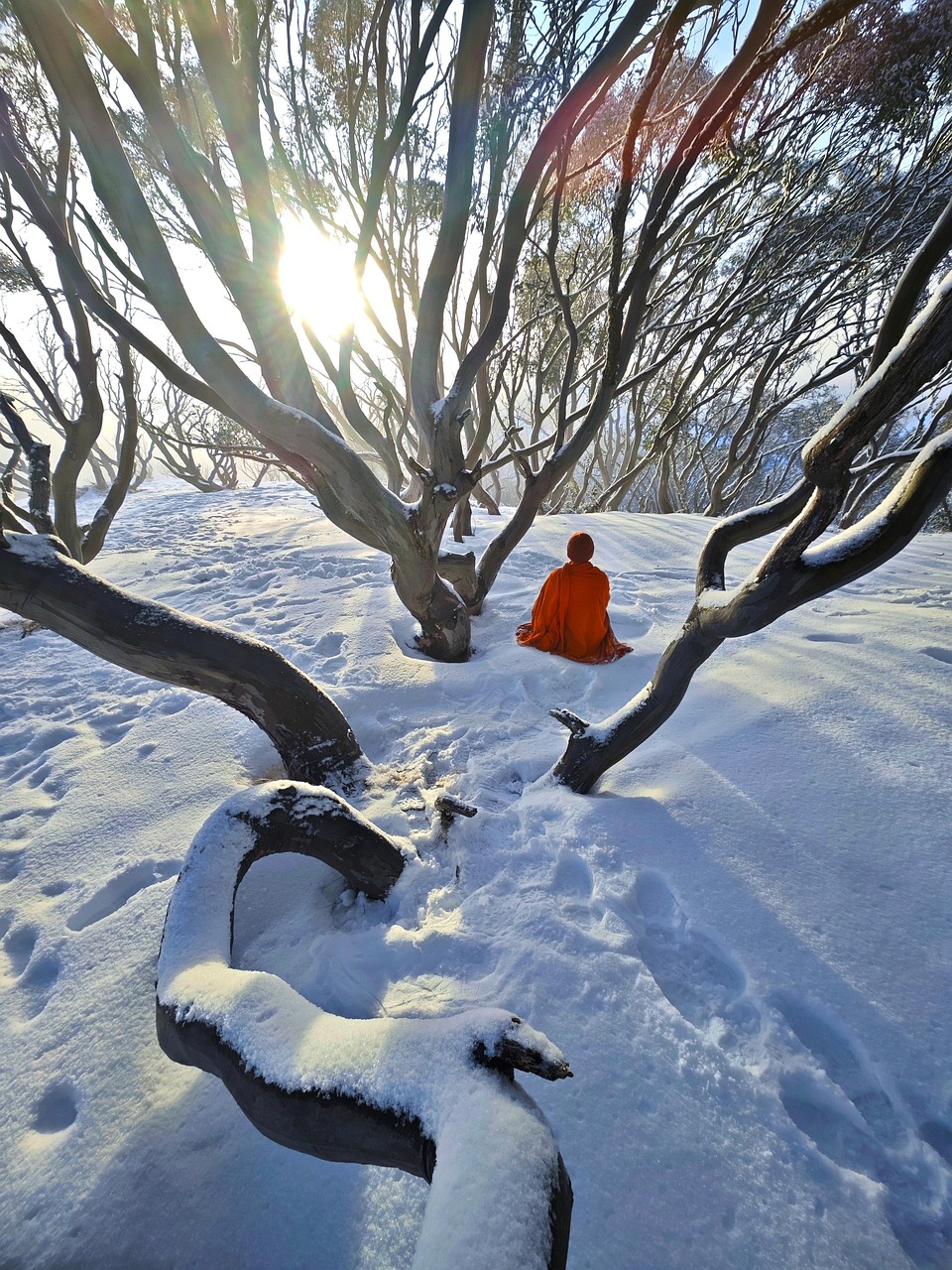 Mönch Buddhismus Religion - Kostenloses Foto auf Pixabay