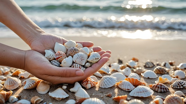 Free beach seashells hands illustration