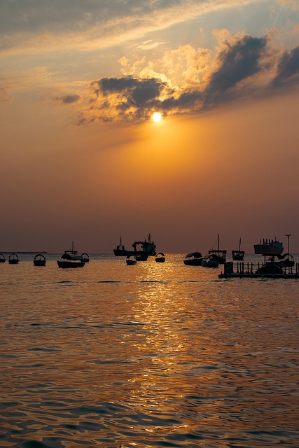 Free Sunset Sea photo and picture