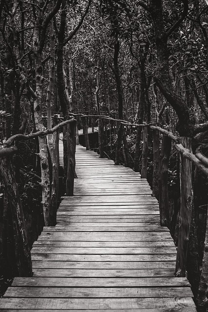 Free Web Nature photo and picture