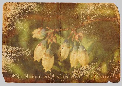 Free Nature Blossom photo and picture