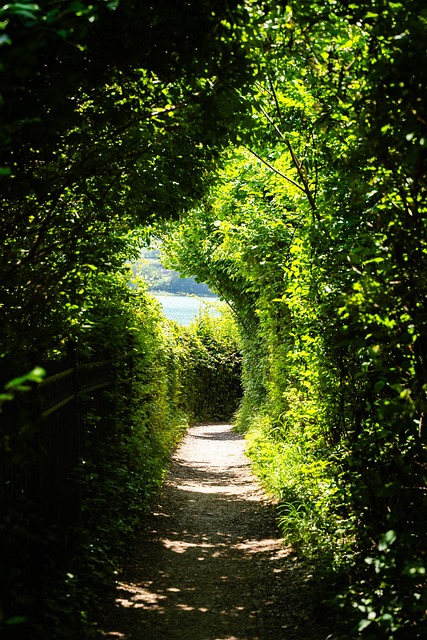 Free Trail Walk photo and picture