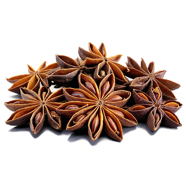Free ai generated star anise isolated illustration