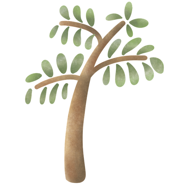 Baum, Äste, Blätter, Laub, Eiche