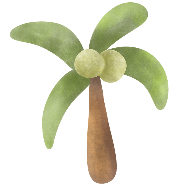 Kokosnootboom, Boom, Palmboom, Tropisch