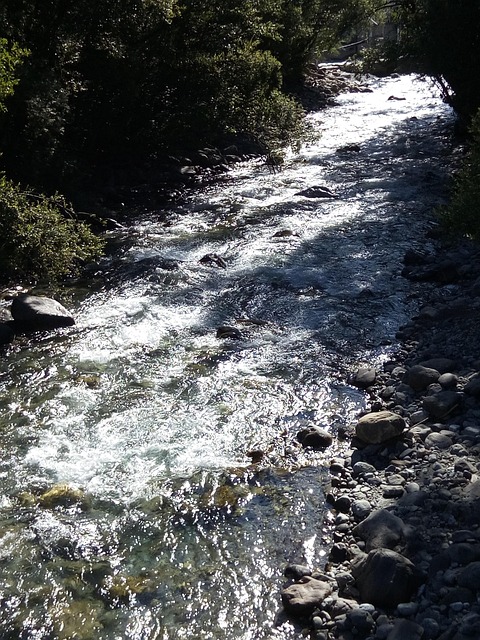 Free River Torrent photo and picture