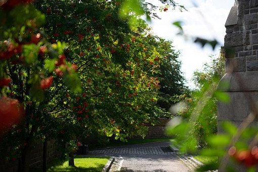 Free Tampere Finland photo and picture