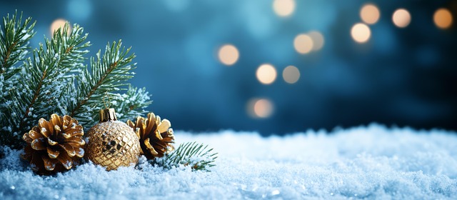 Free christmas decoration ornaments illustration