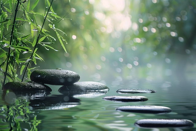 Free stones pond bamboo illustration