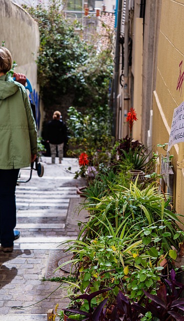 Free Marseille France photo and picture