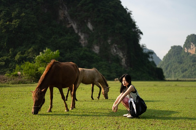 Free girl beautiful girl in grassland steppe illustration