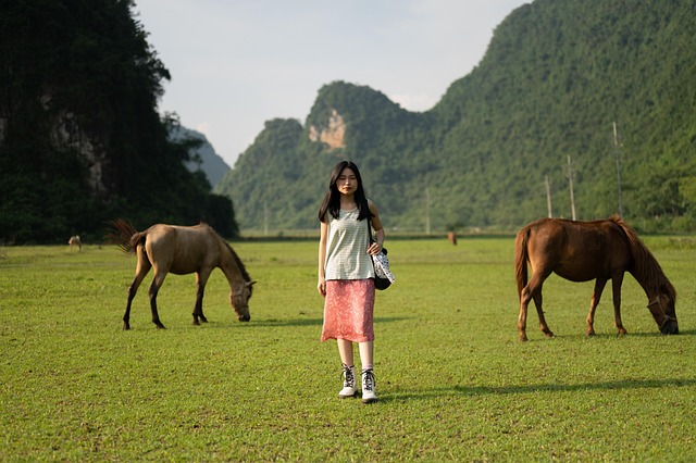 Free girl beautiful girl in grassland steppe illustration