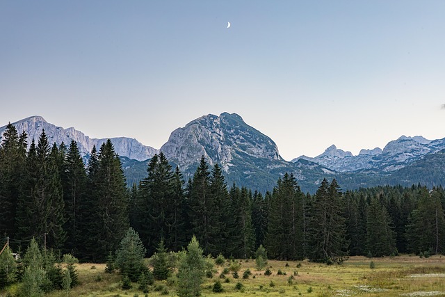 Free Mountains Forest photo and picture