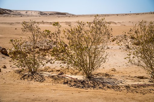 Woestijn, Egypte, Afrika, Droogte, Zand