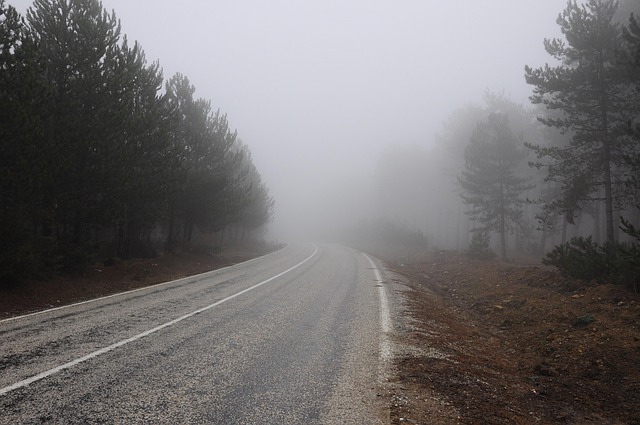 Free Fog Foggy photo and picture