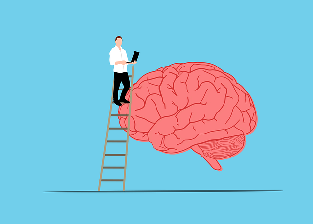 Free brain code programmer vector