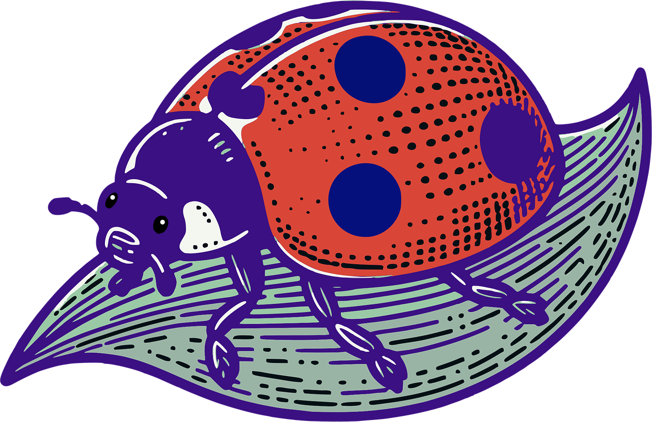 ladybug on leaf, red orange purple clip art preview