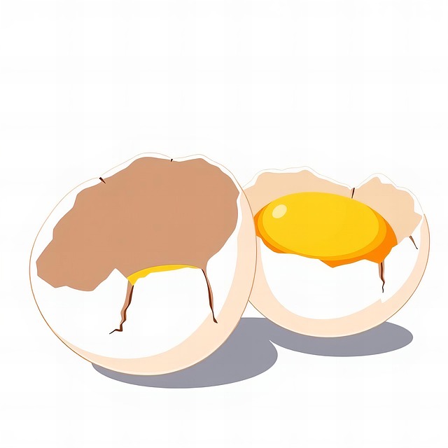 Free egg fried egg broken egg illustration