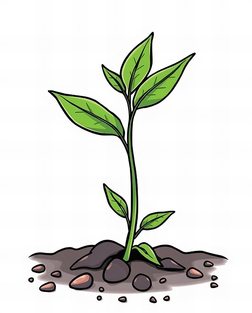 Free growth botany plant illustration