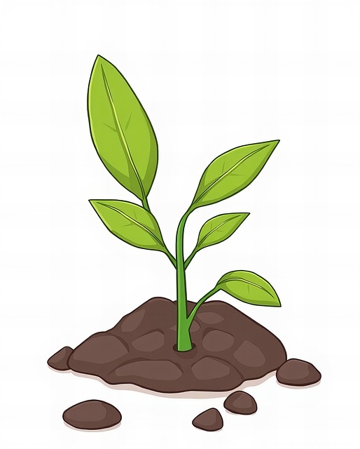 Free plant growth botany illustration