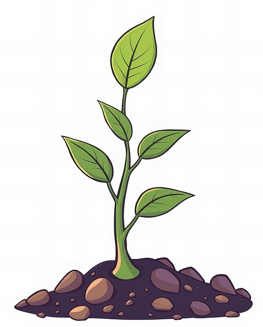 Free tree botany growth illustration