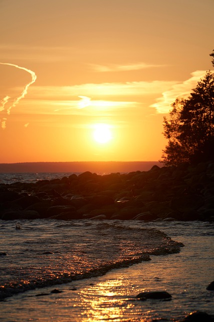 Free Beach Waves photo and picture