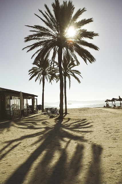 Strand, Hav, Landskab, Kyst, Sand