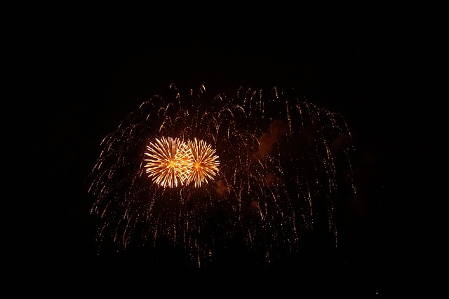 Free Fireworks Pyrotechnics photo and picture