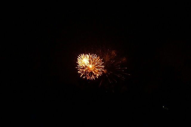 Free Fireworks Pyrotechnics photo and picture