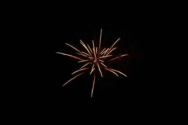 Free Fireworks Pyrotechnics photo and picture