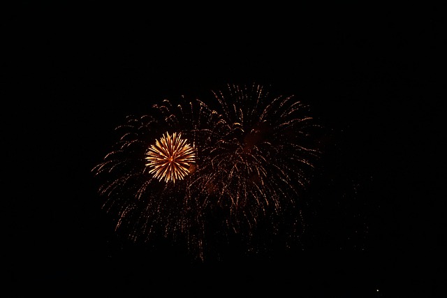 Free Fireworks Pyrotechnics photo and picture