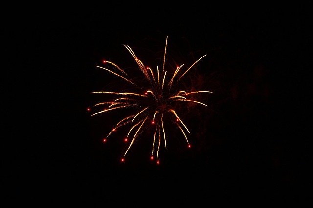 Free Fireworks Pyrotechnics photo and picture