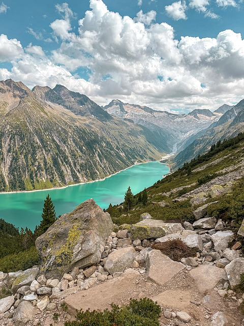 Free Naturally Stay photo and picture