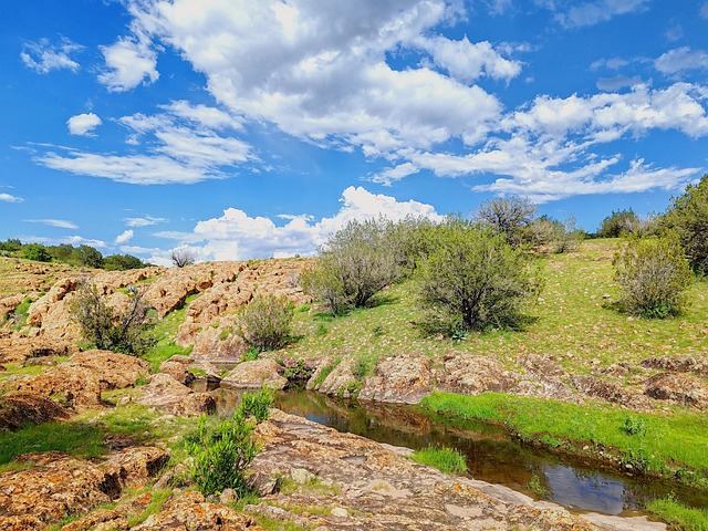 Free Creek Nature photo and picture