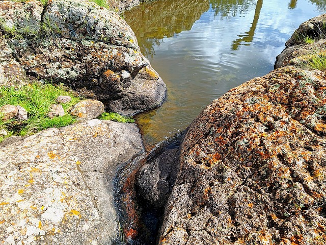 Free Creek Nature photo and picture