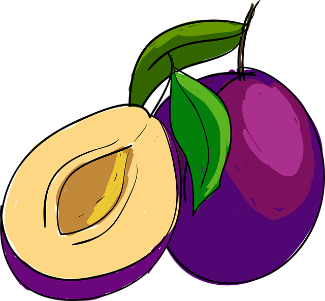 Free Plum Fruit Cartoon illustration and picture