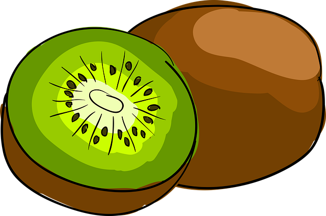 Free Kiwi Fruit illustration and picture